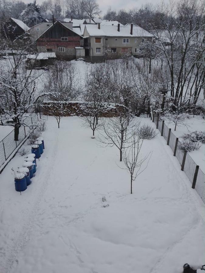 Kalotaszeg Vendeghaz Hotel Izvoru Crisului Bagian luar foto