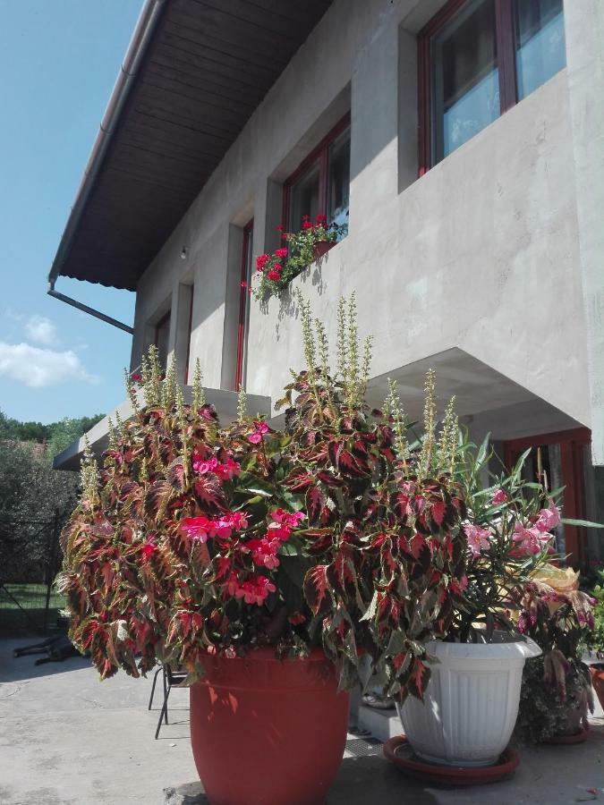 Kalotaszeg Vendeghaz Hotel Izvoru Crisului Bagian luar foto